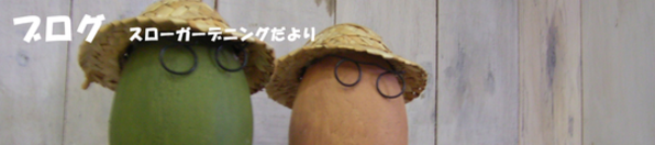 画像の説明